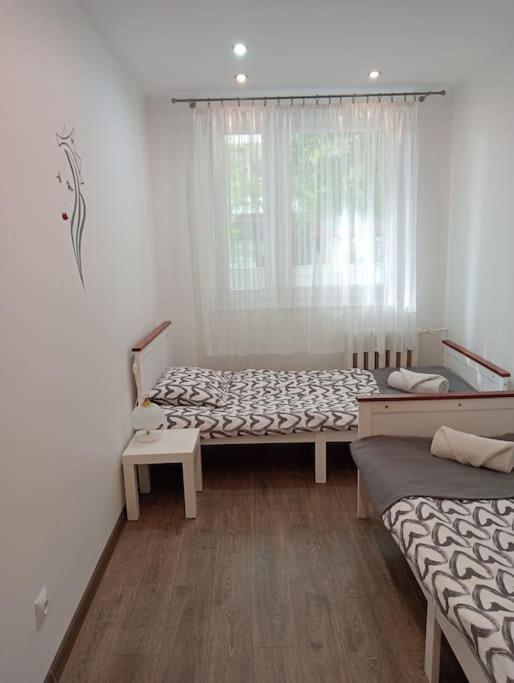 Apartament Queen Malbork Exterior photo